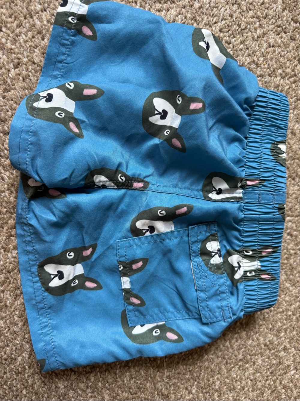 Blue Rooster Boys Swim Trunks - Picture 5 of 6